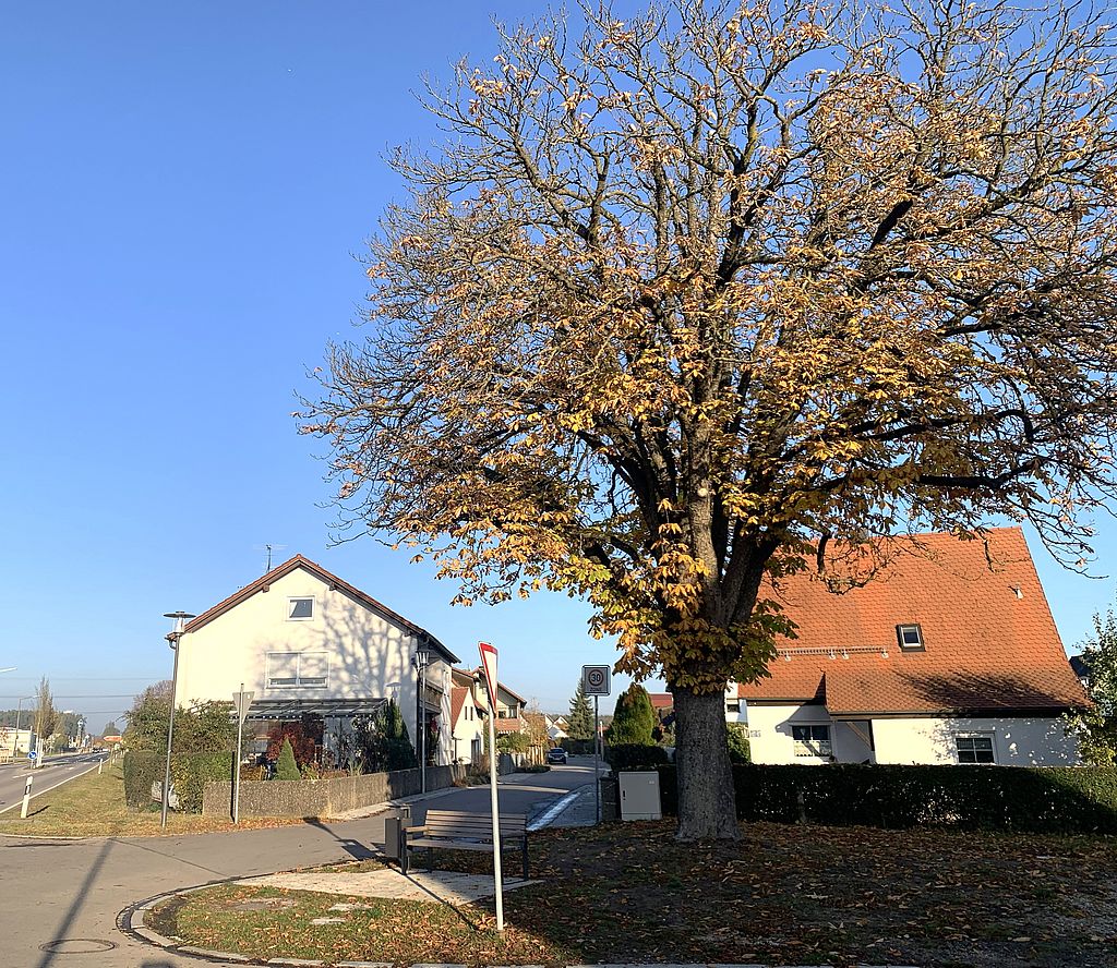 Birkachweg / Alte Kirchenstraße Bild: KEF