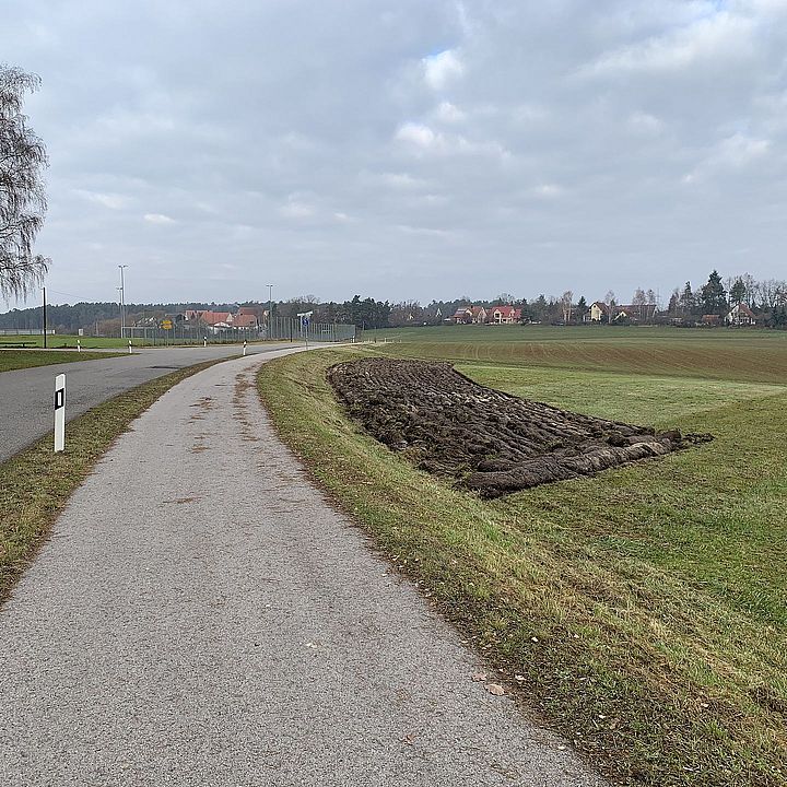 Blühwiese Sportplatz Mühlstetten Bild: KEF