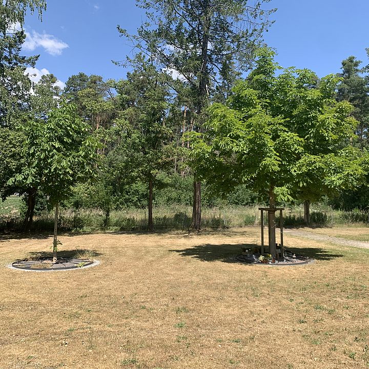 Friedhof Mühlstetten - Urnengräber Juli 25 Bild:EF