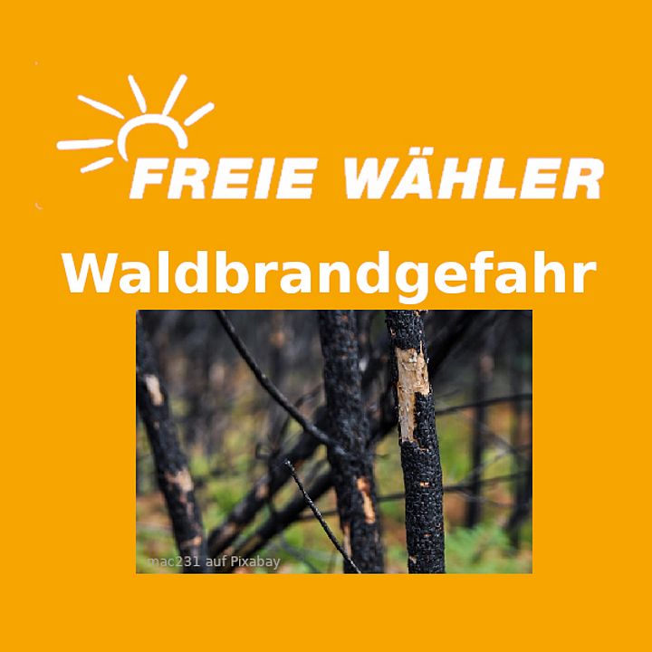 Waldbrandgefahr 2020