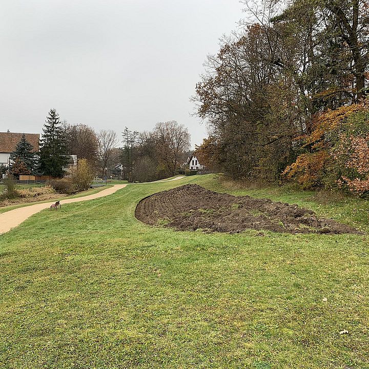 Blühwiese am Röttenbach Bild: KEF