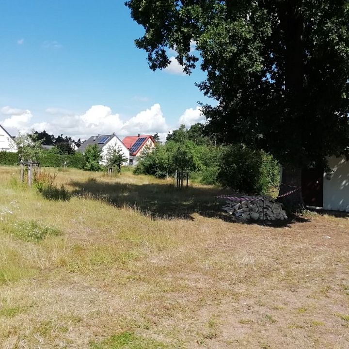 Ferienprogramm 2020 Eidechsenburg Steinmatrial Bild: HG