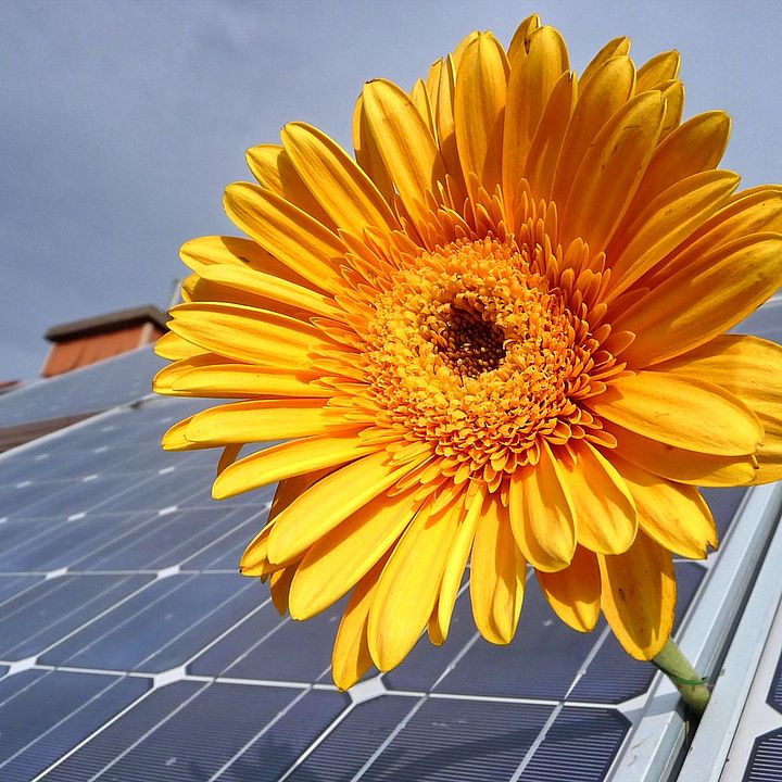 Ziele für den Umweltschutz - Photovoltaikanlage mit Sonnenblume  Bild: Pixabay/bearb. KEF